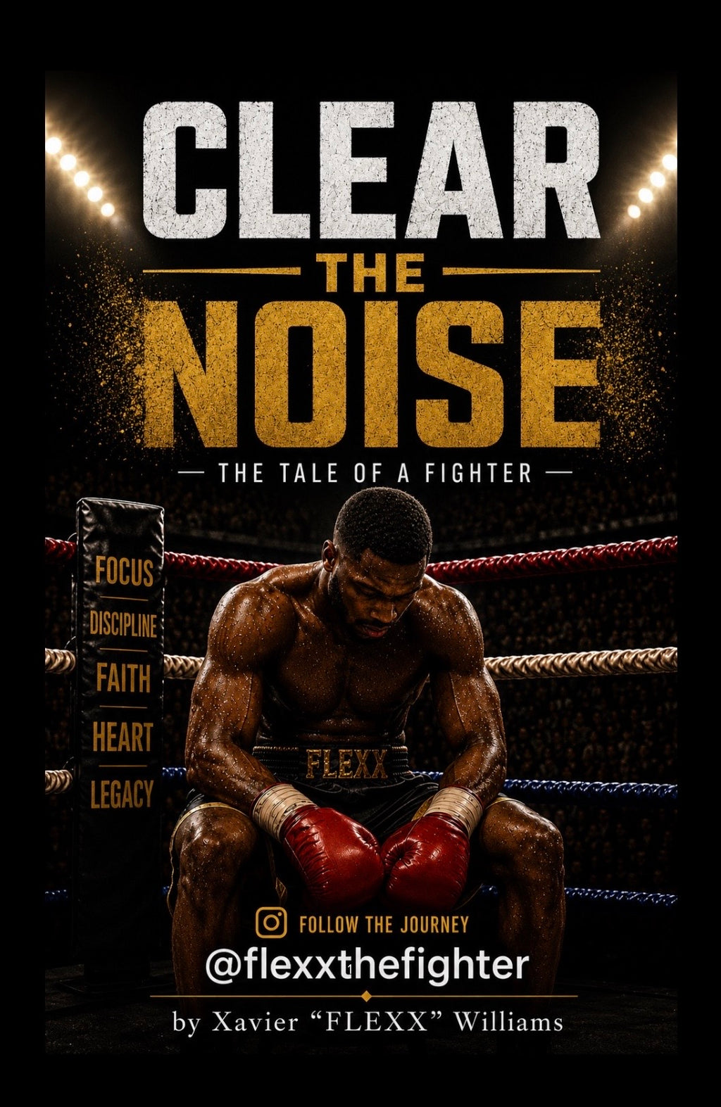 Clear the Noise: A Fighter's Journey to Discipline, Faith & Purpose